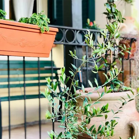 Mamarico' Apartmán Katánie